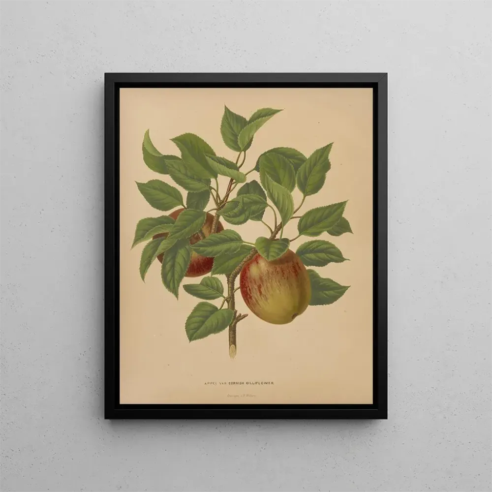 Maalaus Flore hollandaise et Pomone PL75 - Abraham Jacobus Wendel | Taidetuloste