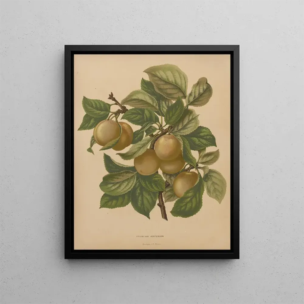 Maalaus Flore hollandaise et Pomone PL77 - Abraham Jacobus Wendel | Taidetuloste
