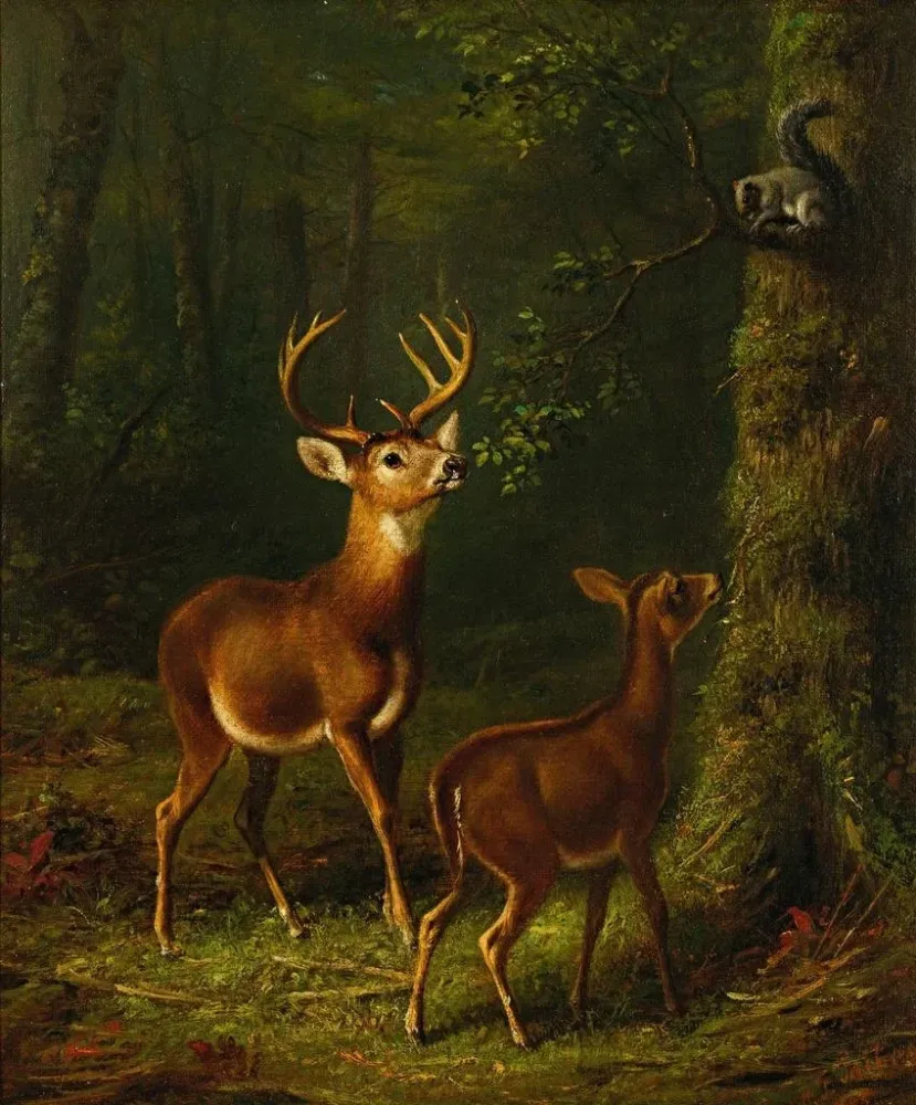 Maalaus La êt des Adirondacks - Arthur Fitzwilliam Tait | Taidetuloste