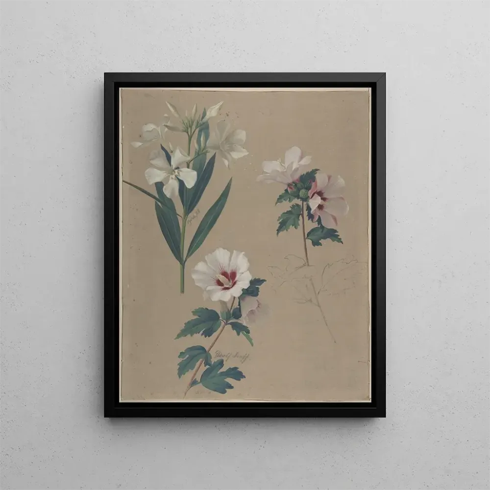Maalaus Hibiscus-kasvien tutkimus - Adolf Senff | Taidetuloste