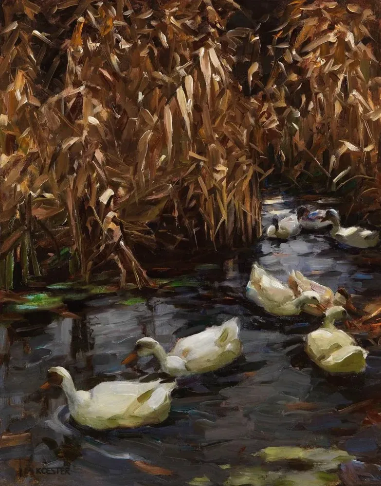 Maalaus Huit canards dans les roseaux d'automne - Alexander Koester | Taidetuloste