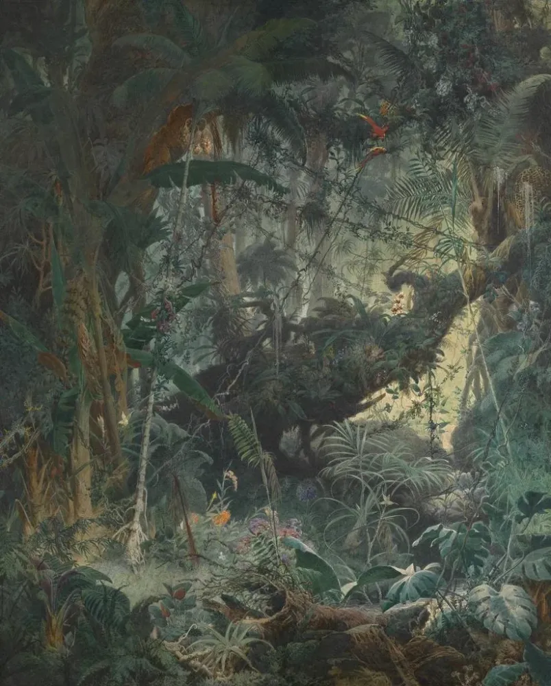Maalaus Jungle brésilienne - Adolf Schrödter | Taidetuloste