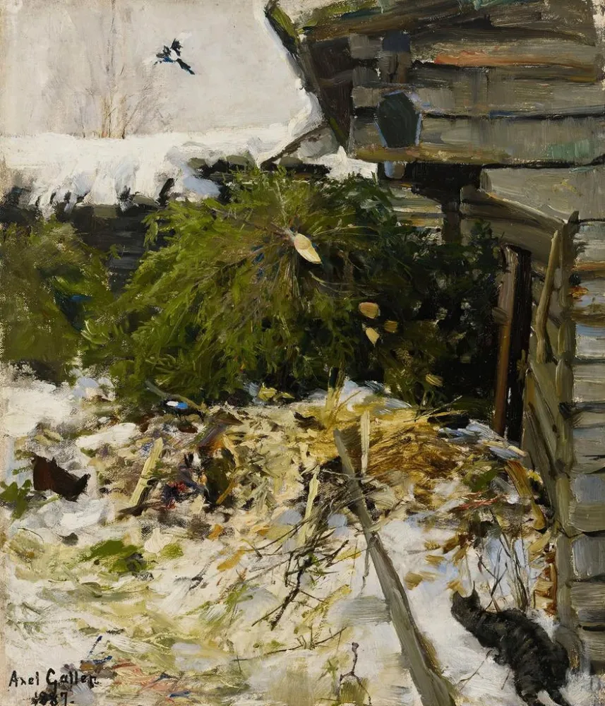 Maalaus Kuusipuut maatilan pihalla - Akseli Gallen-Kallela | Taidetuloste