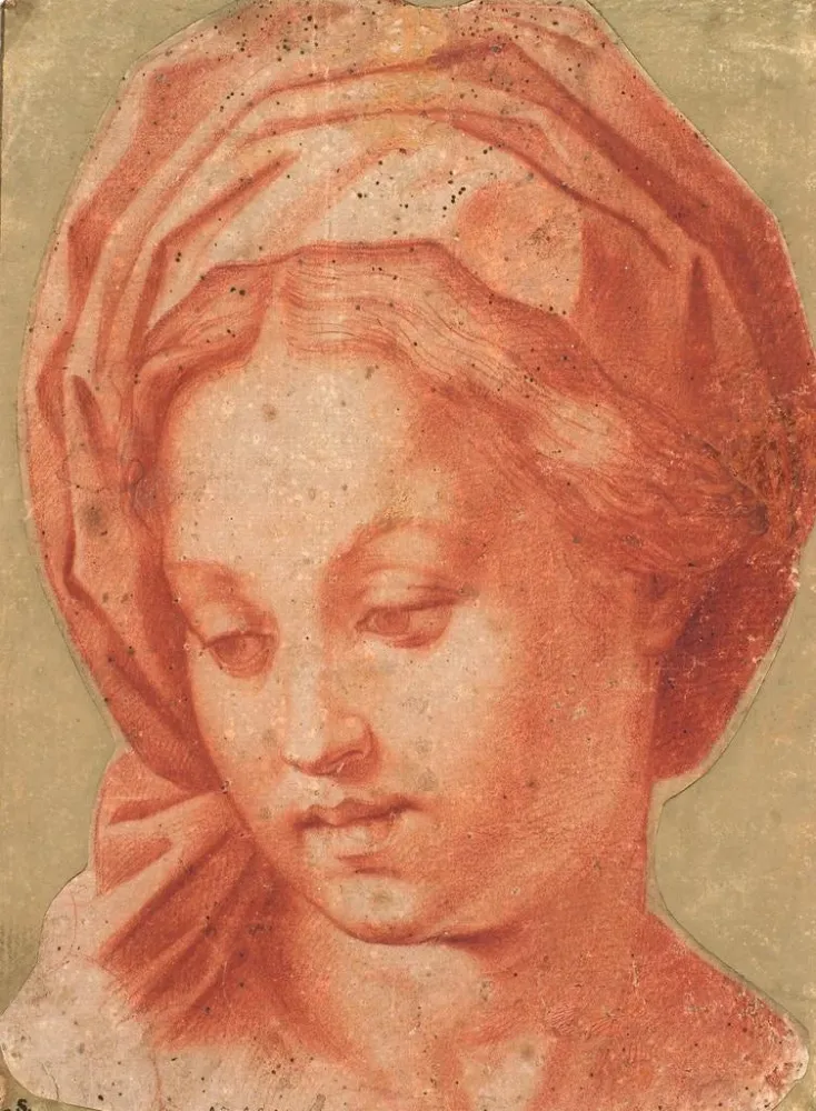 Maalaus La Madone Borghèse - Andrea del Sarto | Taidetuloste