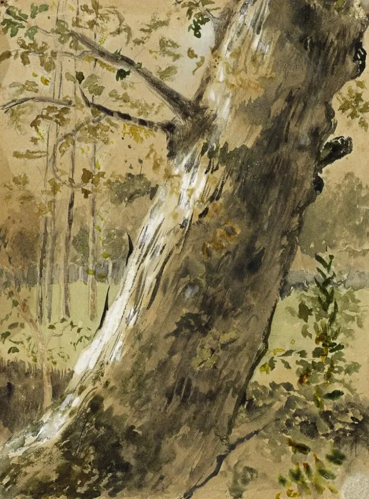 Maalaus Maisemakartoitus Vendéessä La Roche-sur-Yon Puunrunko - Arthur Joseph Gueniot