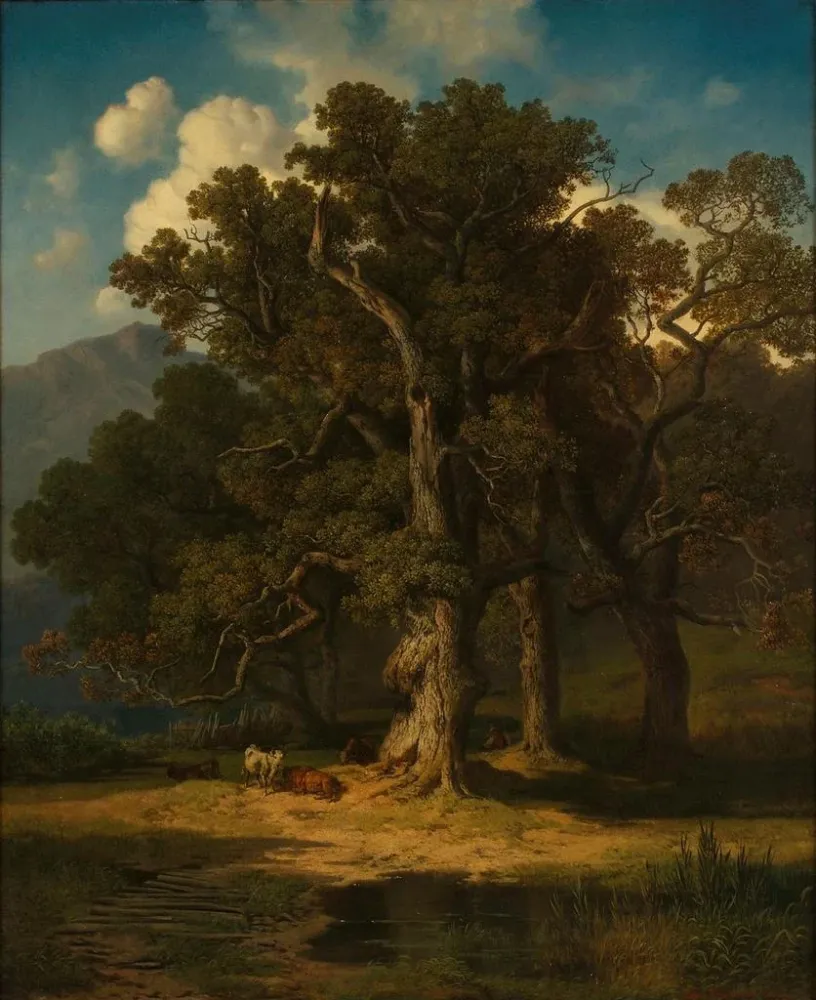 Maalaus Maisemakuva metsä - August Maximilian Zimmermann | Taidetuloste