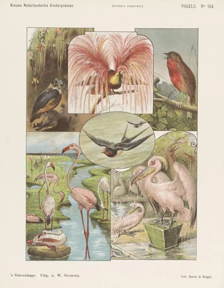 Maalaus Oiseaux - Emrik Binger | Taidetuloste