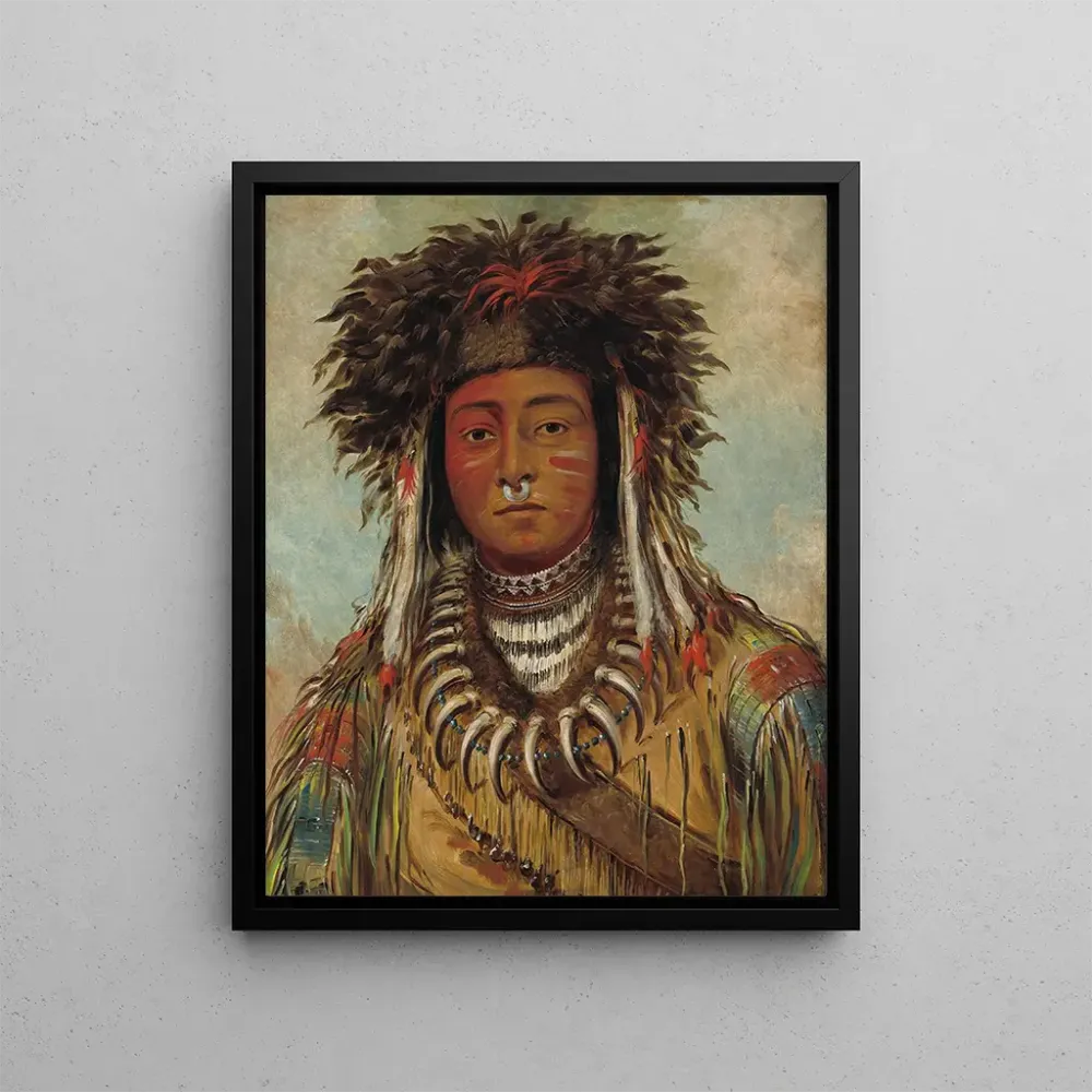 Maalaus Poika kokki ojibwé - George Catlin | Taidetuloste