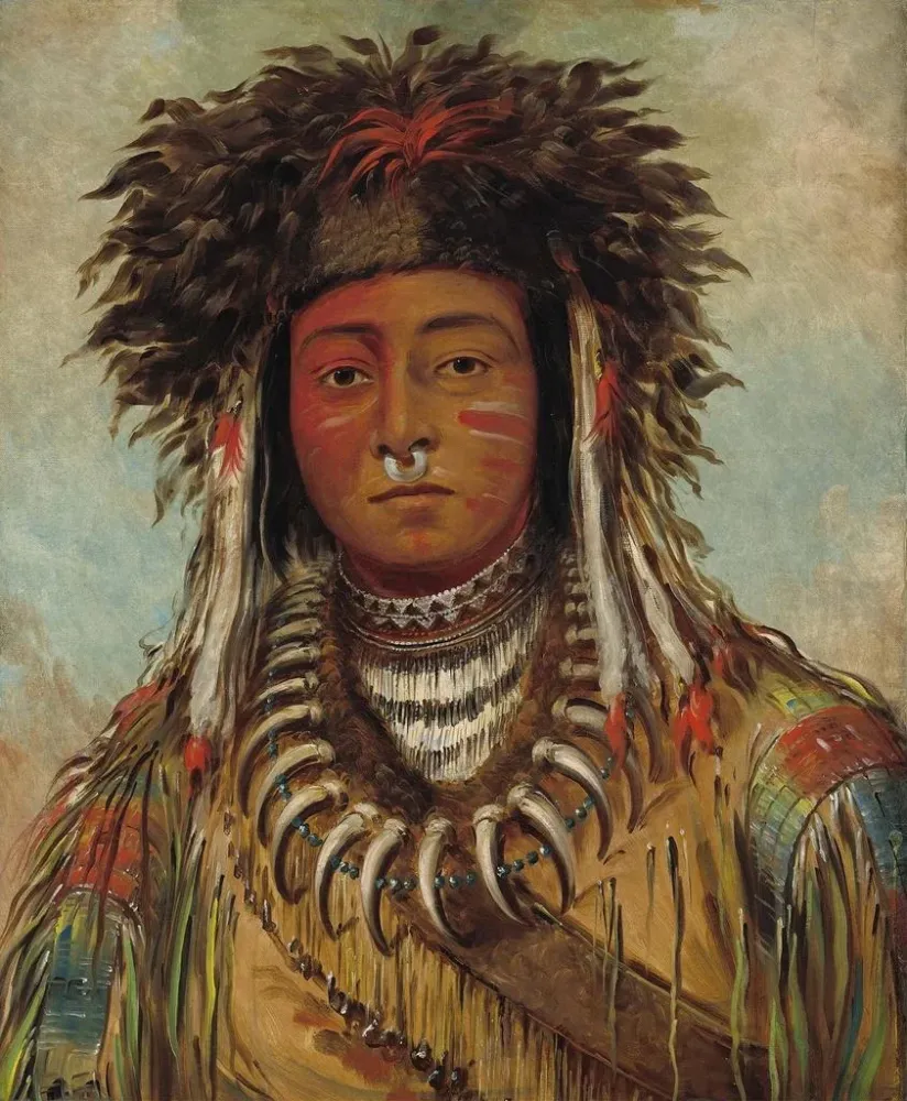 Maalaus Poika kokki ojibwé - George Catlin | Taidetuloste