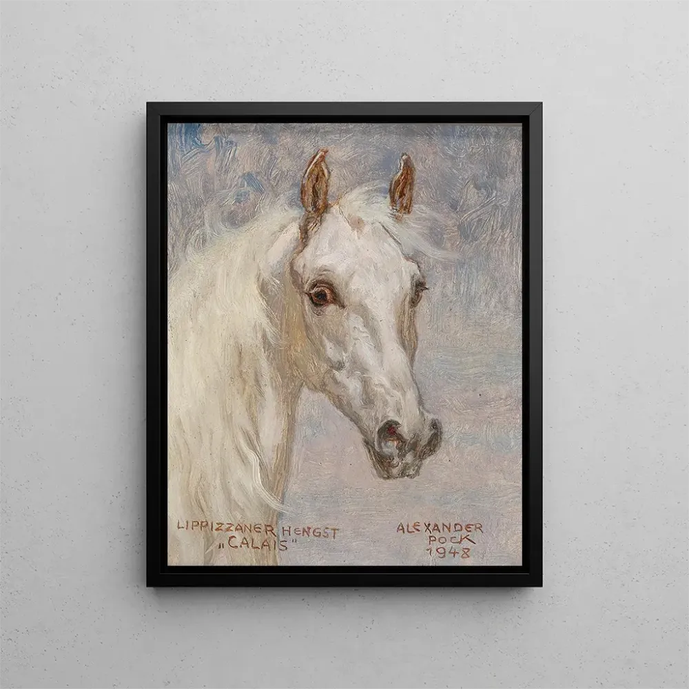 Maalaus Portrait de cheval Calais - Alexander Pock | Taidetuloste
