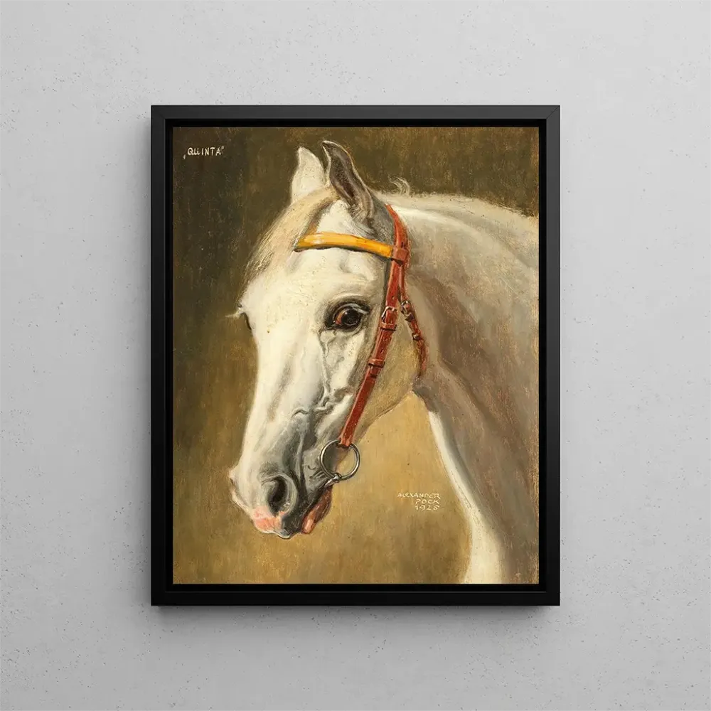 Maalaus Portrait de cheval Quinta - Alexander Pock | Taidetuloste