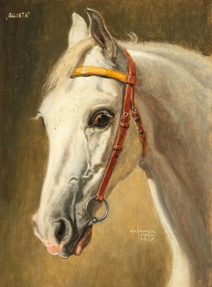 Maalaus Portrait de cheval Quinta - Alexander Pock | Taidetuloste