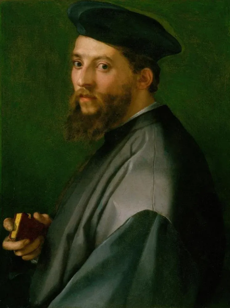 Maalaus Portrait d'un homme - Andrea del Sarto | Taidetuloste
