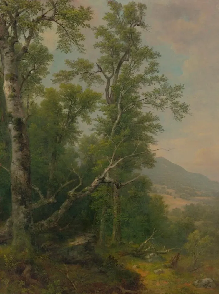Maalaus Puiden tutkimus - Asher Brown Durand | Taidetuloste
