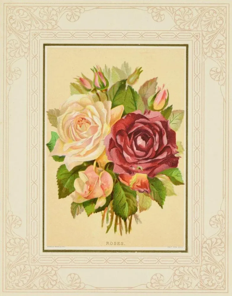 Maalaus Roses - Marcus Ward & Co. | Taidetuloste