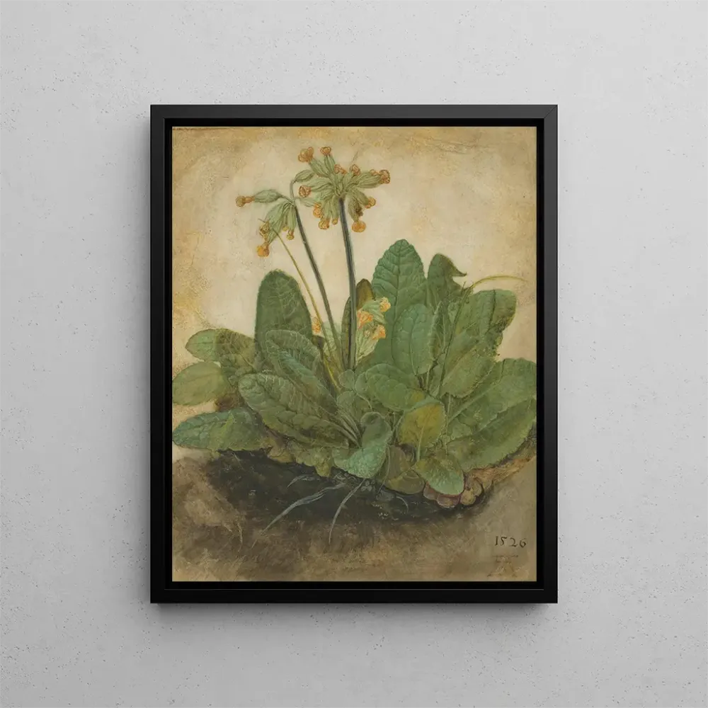 Maalaus Touffe de primevères - Albrecht Dürer | Taidetuloste