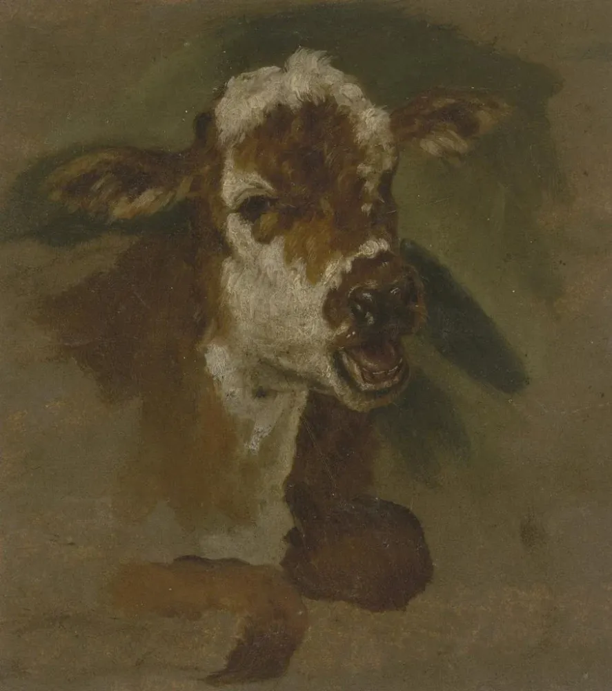 Maalaus Tête de bétail - Adriaen van de Velde | Taidetuloste