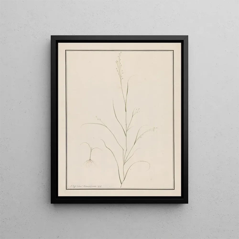 Maalaus Tête d'Eragrostis - Andrew Fyfe | Taidetuloste