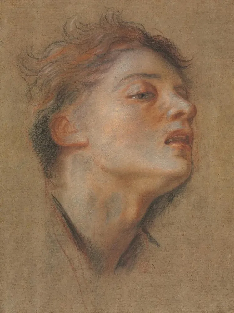 Maalaus Tête d'un jeune homme - Antoine Coypel | Taidetuloste