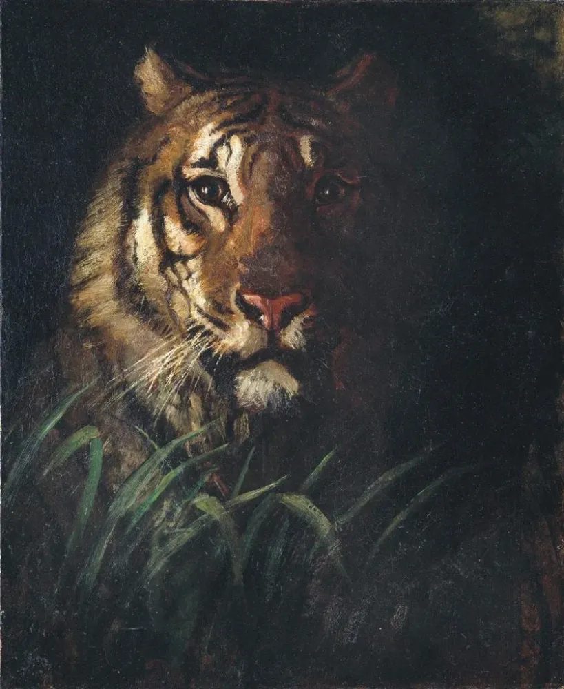 Maalaus Tête de tigre - Abbott Handerson Thayer | Taidetuloste