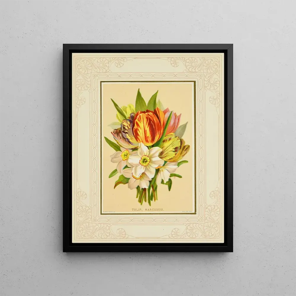 Maalaus Tulipe, narcisse - Marcus Ward & Co. | Taidetuloste