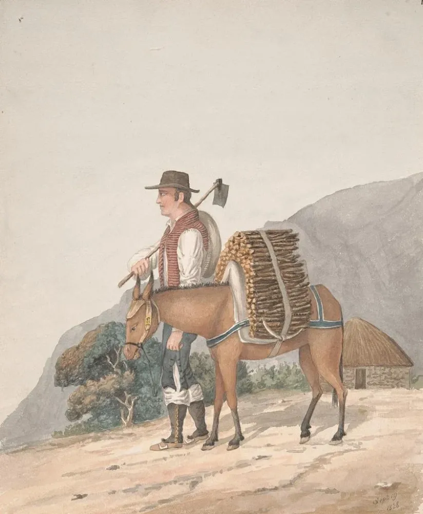 Maalaus Vendeur de bois de chauffage à Tenerife - Alfred Diston | Taidetuloste