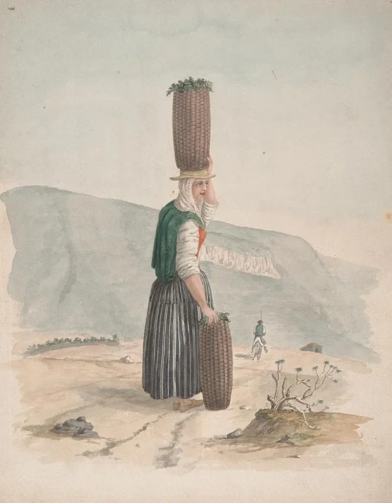 Maalaus Vendeur de charbon de bois à Tenerife - Alfred Diston | Taidetuloste