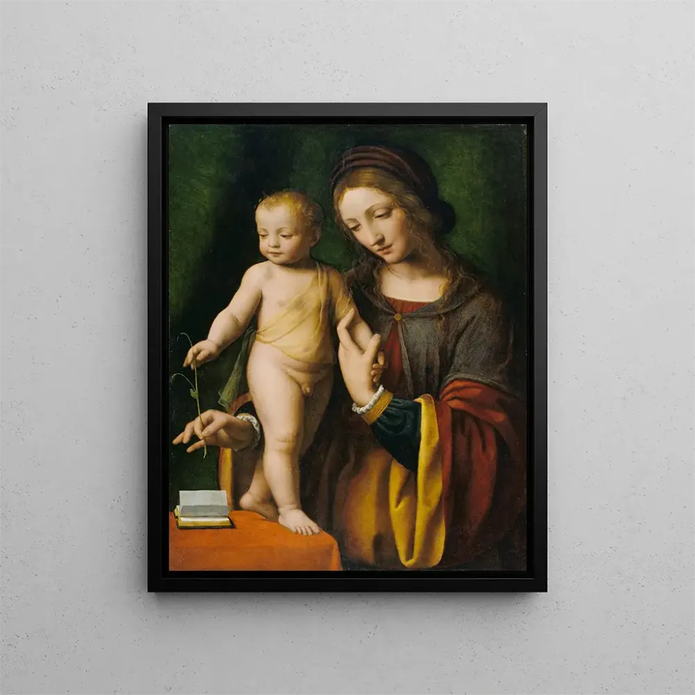 Maalaus La Vierge à l'Enfant avec une Colombine - Bernardino Luini | Taidetuloste