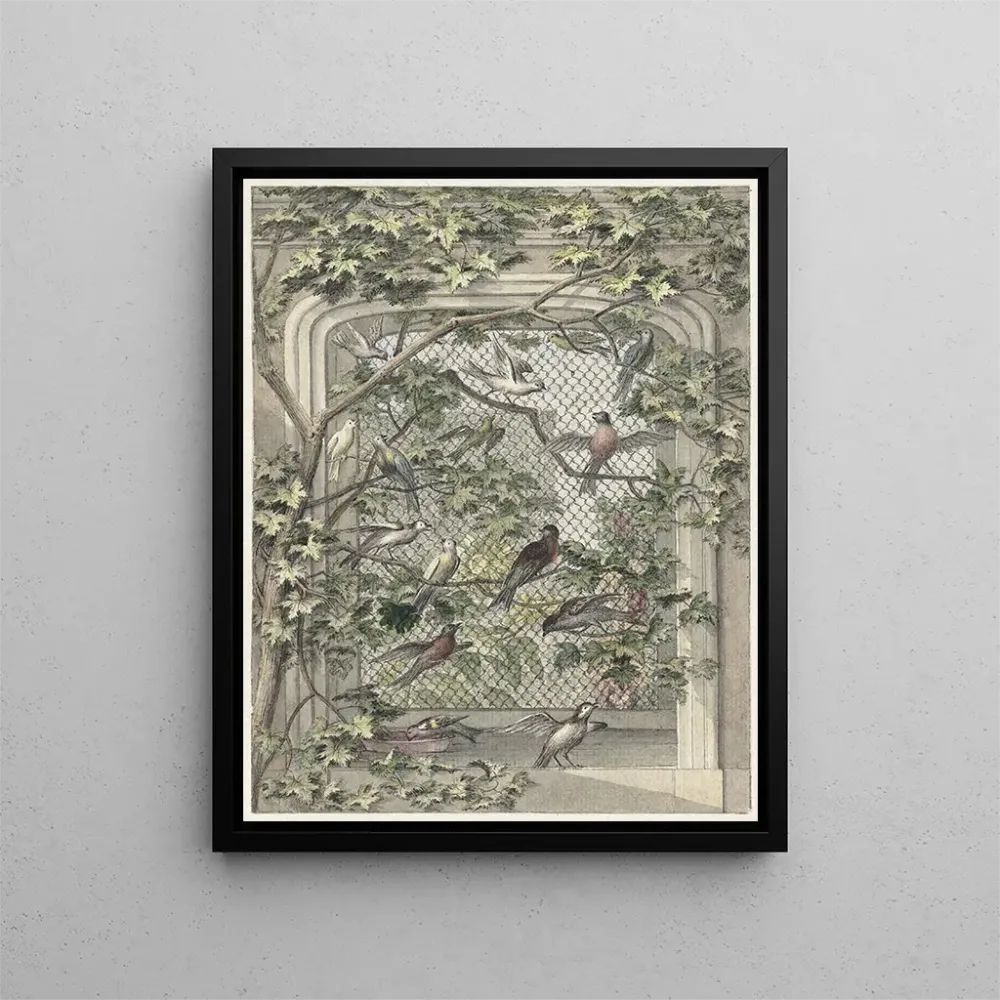 Maalaus Volière avec quatorze oiseaux - Aert Schouman | Taidetuloste