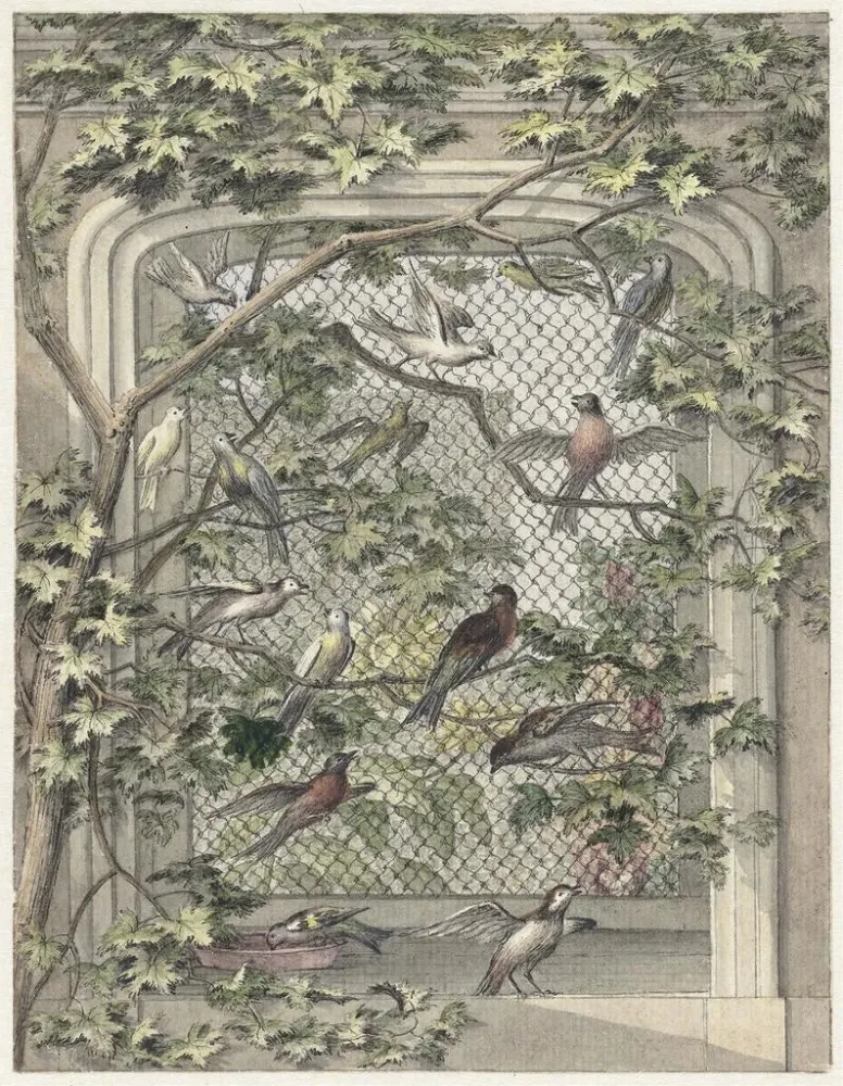 Maalaus Volière avec quatorze oiseaux - Aert Schouman | Taidetuloste