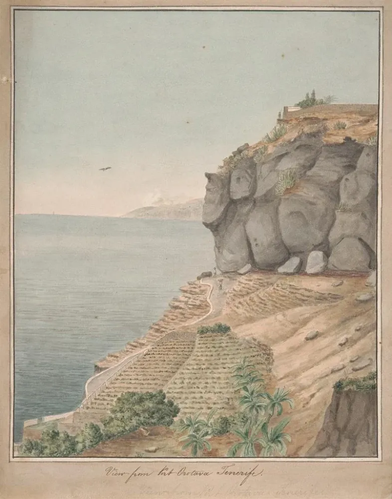 Maalaus Vue depuis Port Orotava Tenerife - Alfred Diston | Taidetuloste