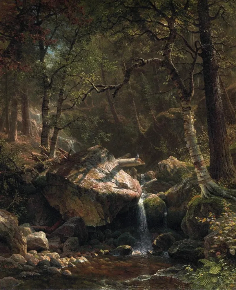 Maalaus Vuoristokuru - Albert Bierstadt | Taidetuloste
