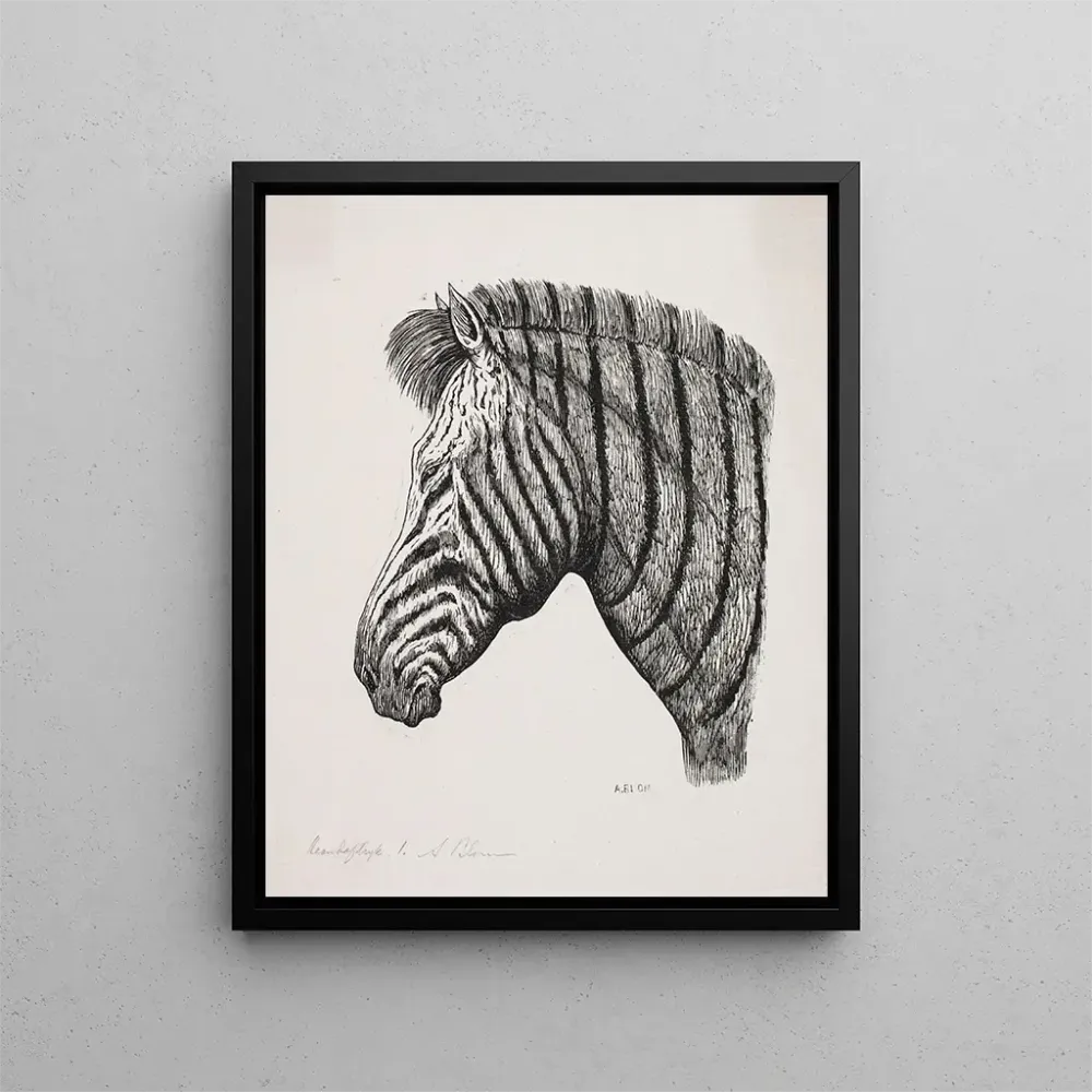 Maalaus Zebrakoppal - Alexander Blom | Taidetuloste