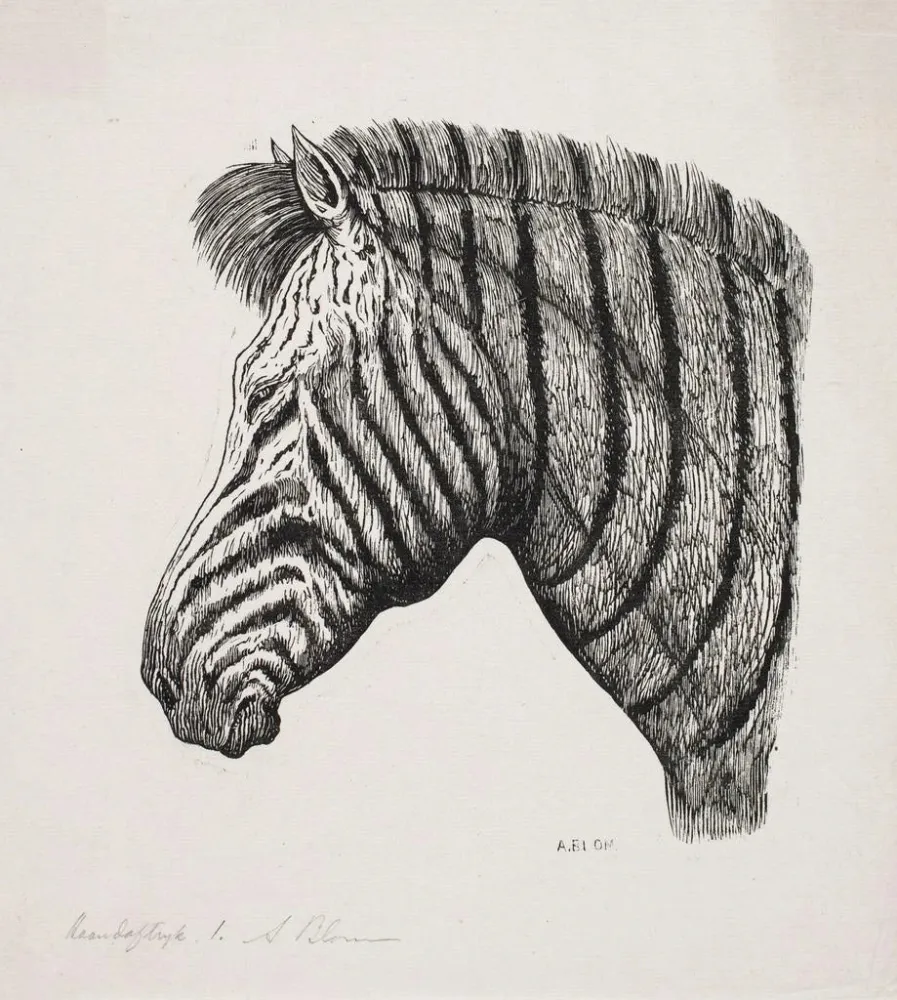 Maalaus Zebrakoppal - Alexander Blom | Taidetuloste