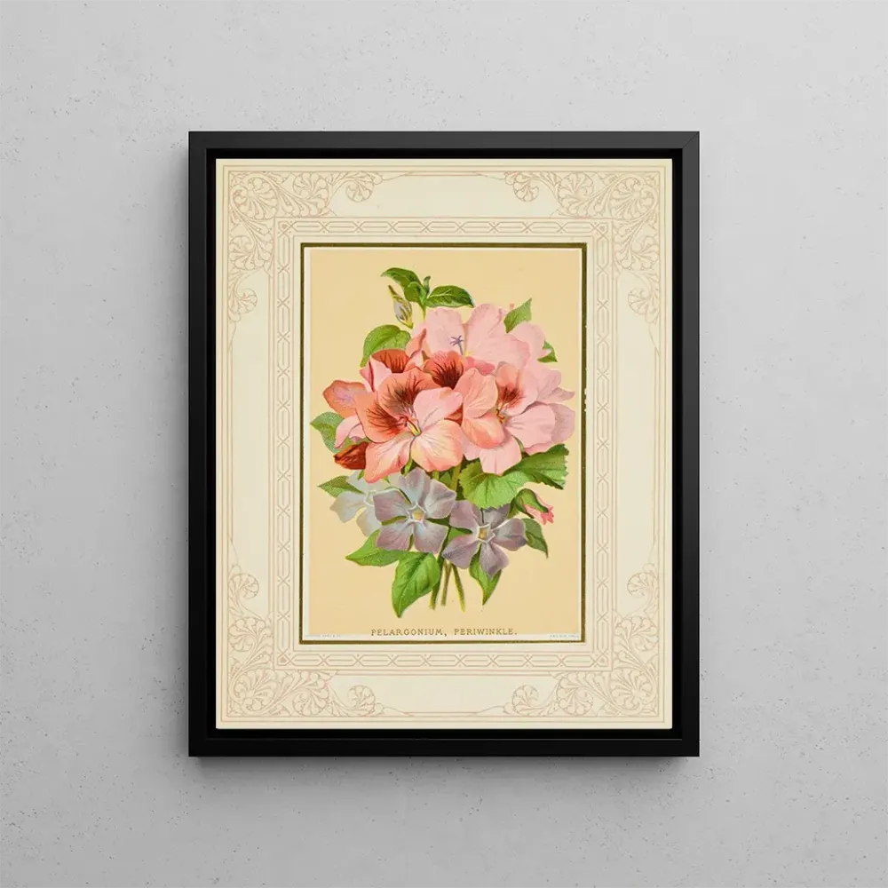 Pélargonium-taidetuloste, pervenche - Marcus Ward & Co. | Reproduction