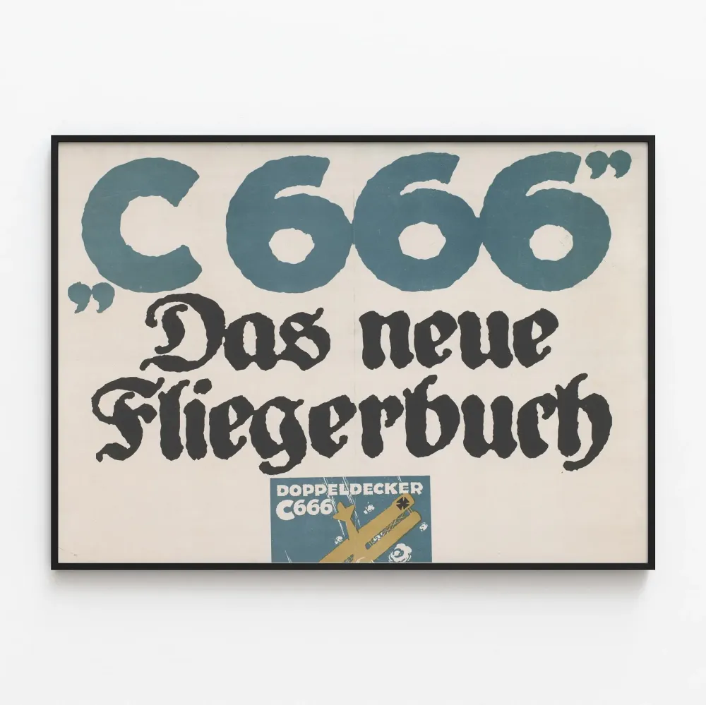 Seinäjuliste kaksimoottorinen lentokone C666