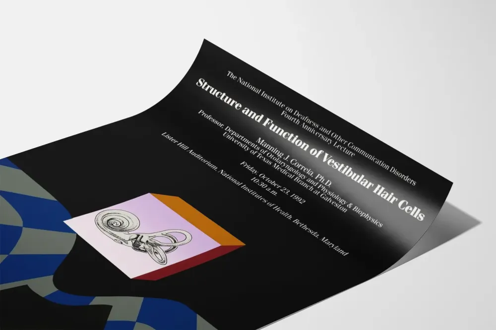 Tieteellinen juliste vestibulaaristen solujen rakenteesta ja toiminnasta