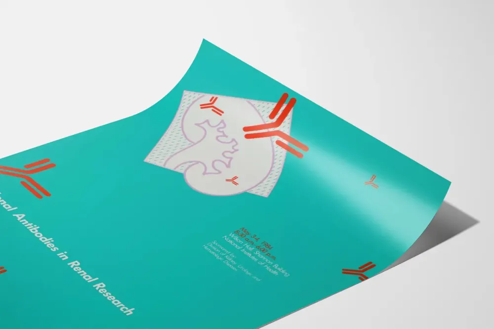 Tieteellinen suunnittelujuliste: Monoklonaaliset vasta-aineet ja munuaiset