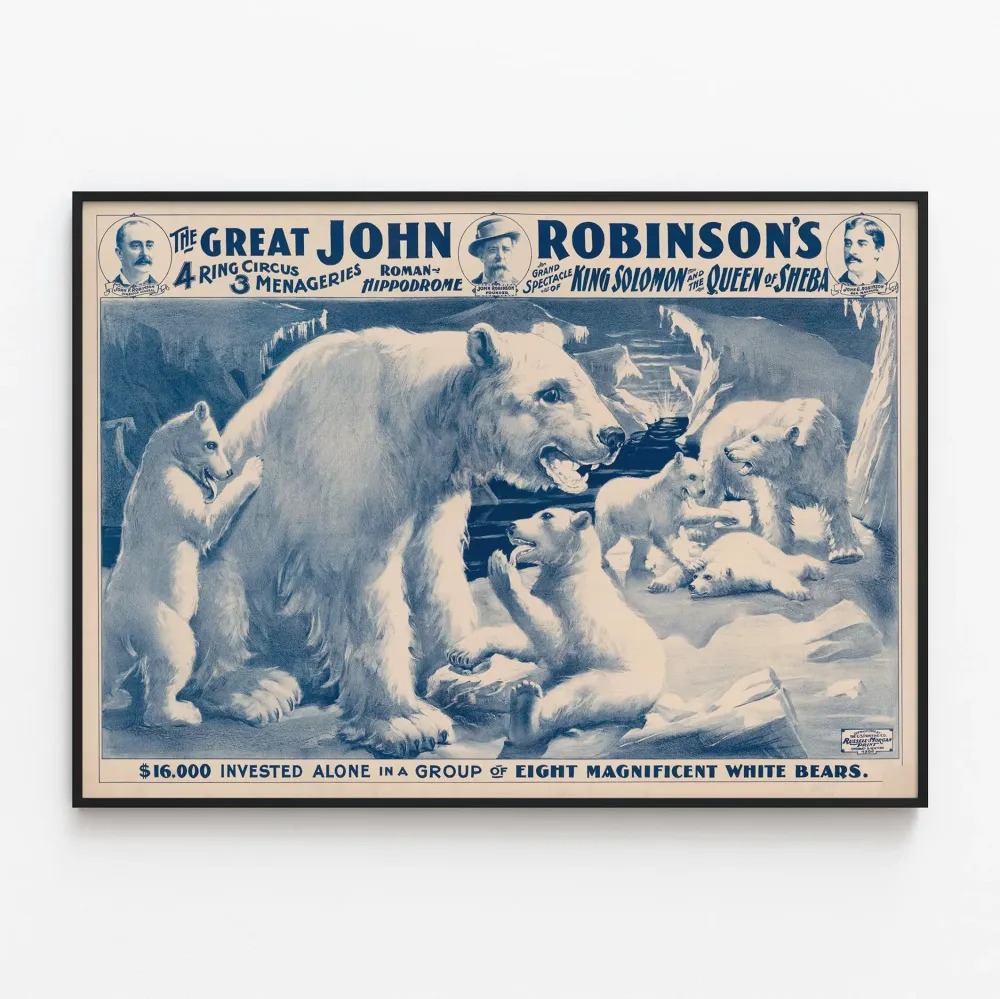 Vanha juliste Valkoiset karhut - John Robinsonin sirkus
