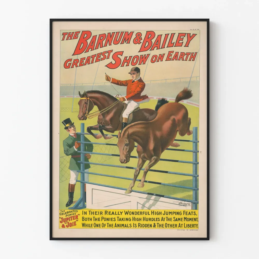 Vintagejuliste Barnum & Bailey - Poneijat Jupiter ja Joie esteratsastuksessa
