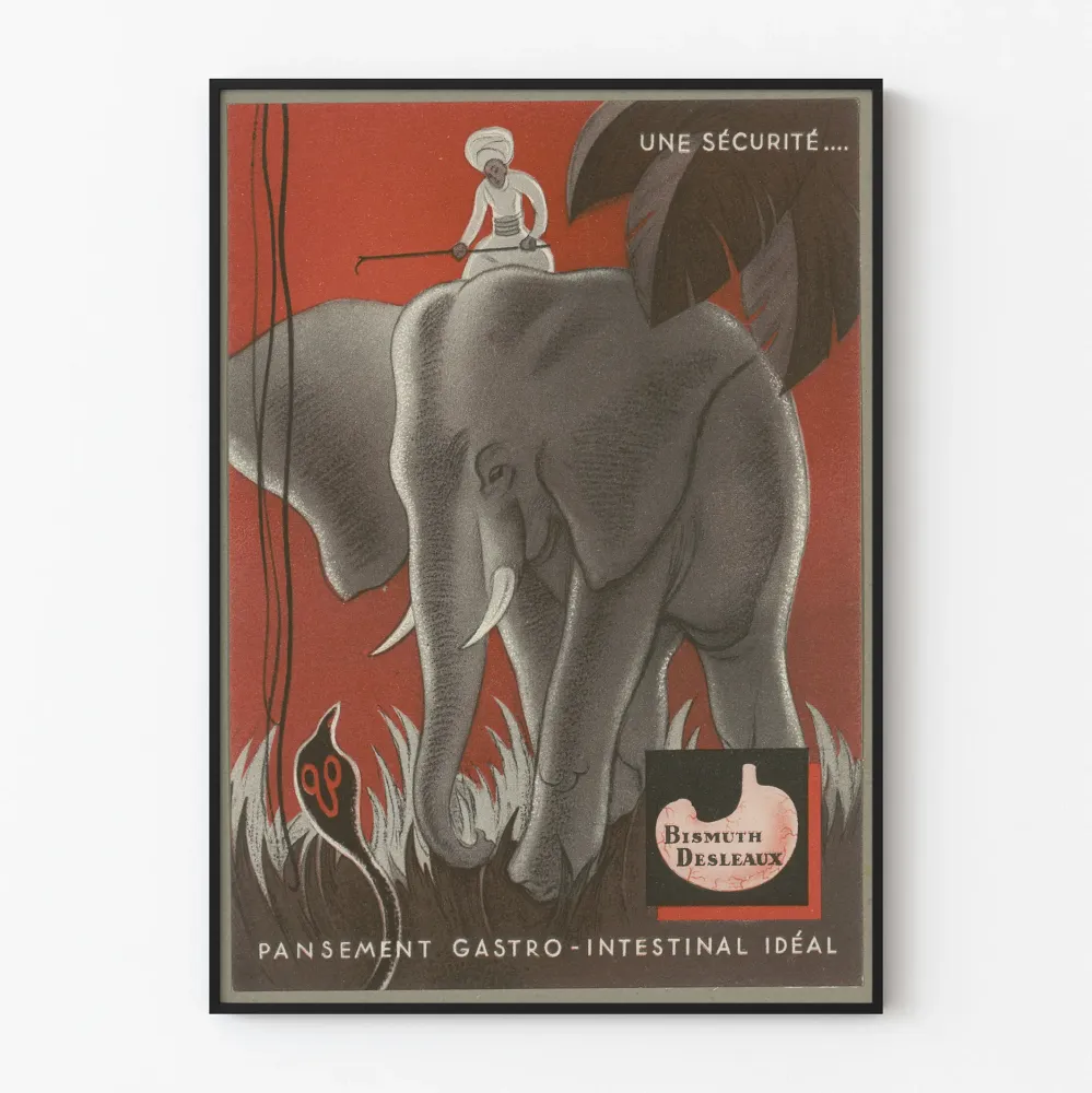 Vintagejuliste Bismuth Desleaux - Retro ruoansulatuskanavan seinäkoristelu