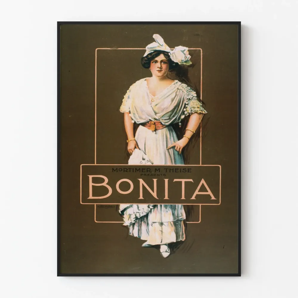 Vintagejuliste Bonita Mortimer M. Theise seinäkoristeluun