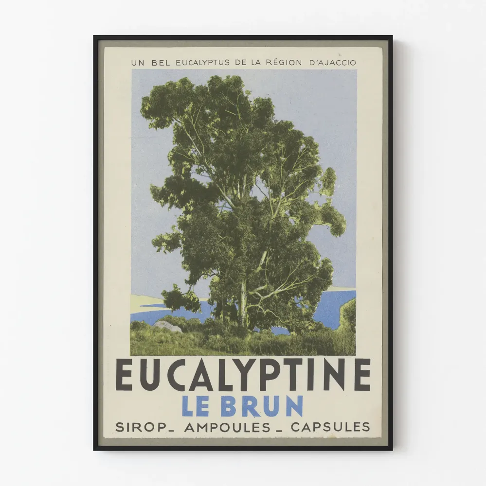 Vintagejuliste Eucalyptine Le Brun - Luontokuvakehys seinäkoristelu