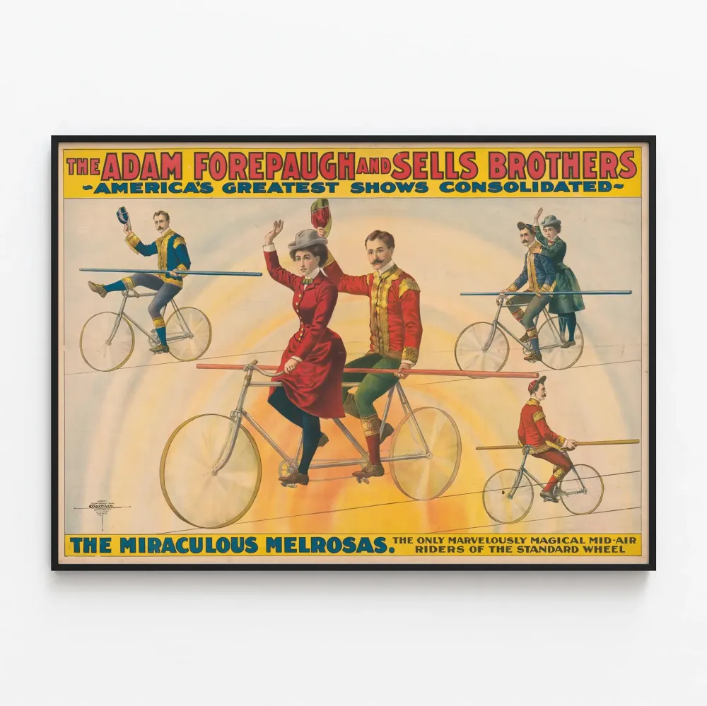 Vintagejuliste Miraculous Melrosas - Vanha seinäkoriste esitykseen