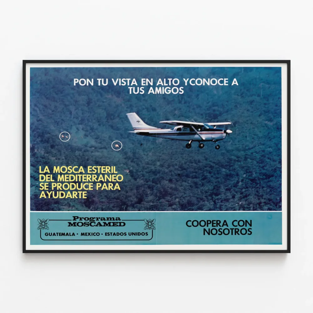 Vintagejuliste Moscamed-ohjelma Guatemala, Meksiko, Yhdysvallat