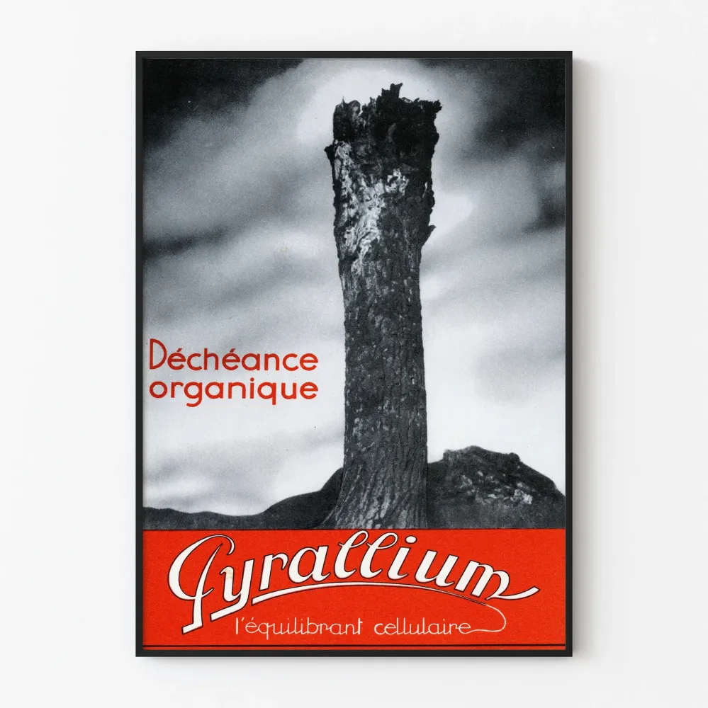 Vintagejuliste Pyrallium - Orgaaninen rappio seinäkoristukseen