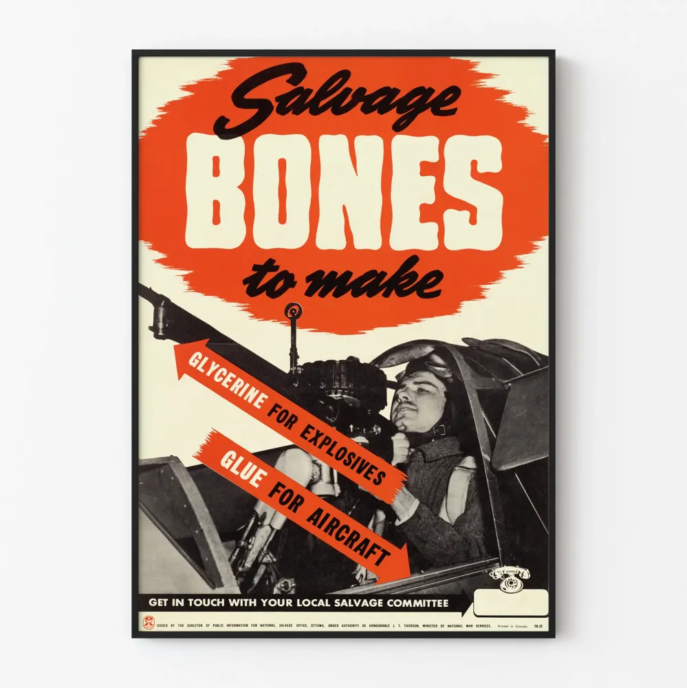 Vintagejuliste Salvage Bones - Retroilmailuinen seinäkoriste