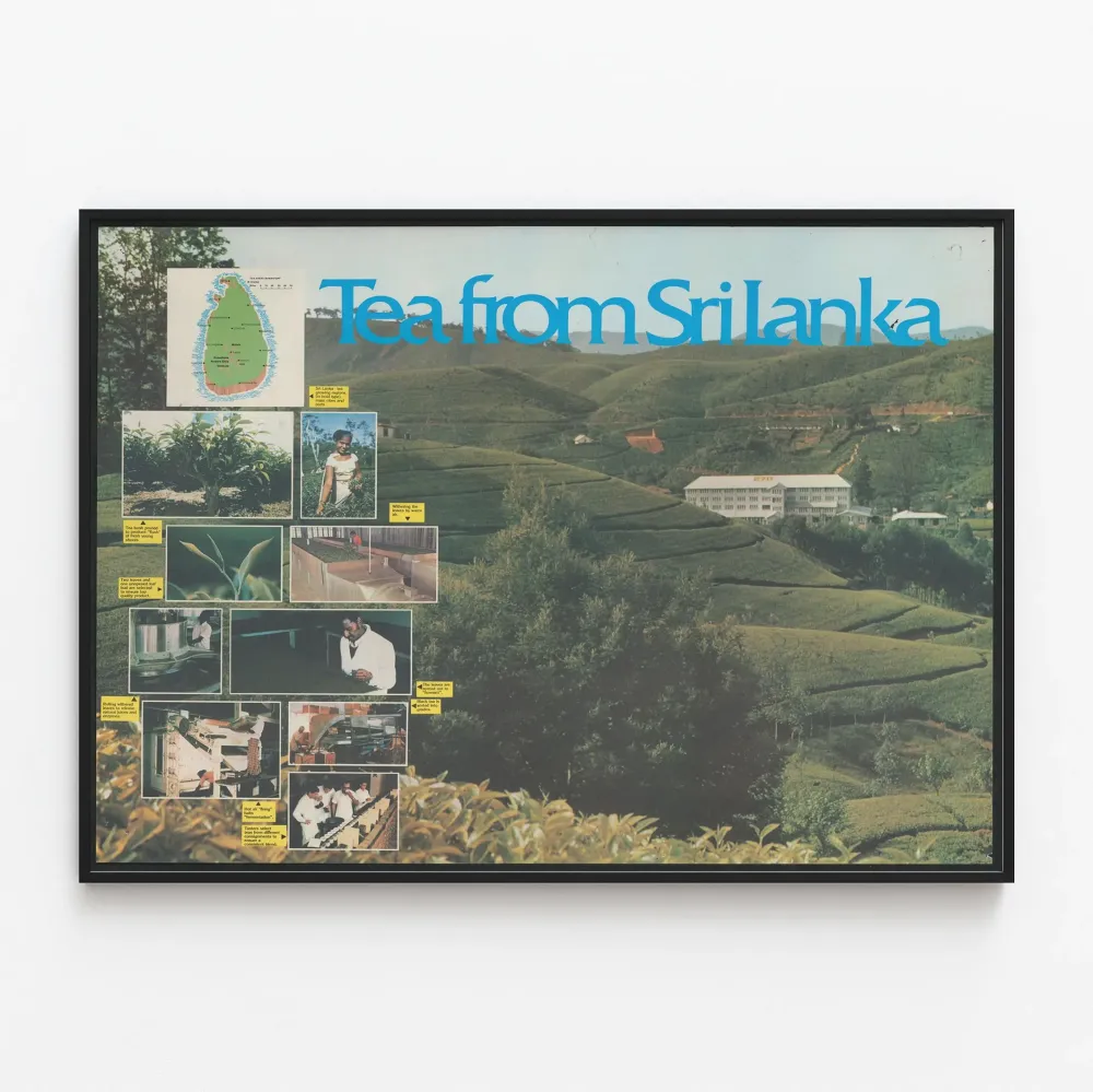 Vintage-teeposteri Sri Lankasta - Kasvien inspiroima seinäkoristelu