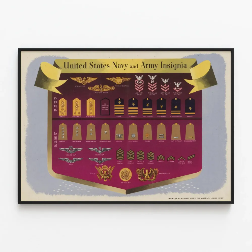 Yhdysvaltain merivoimien ja armeijan tunnusmerkkien koristejuliste